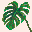 Monstera